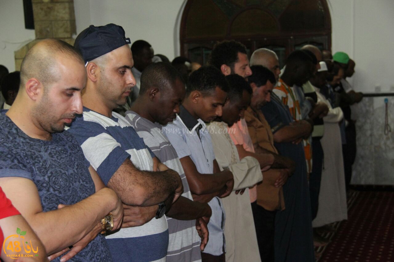 trawe7 salahsaj (35).jpg